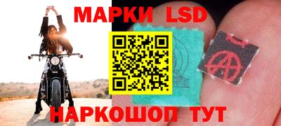PSILOCYBIN Кинель
