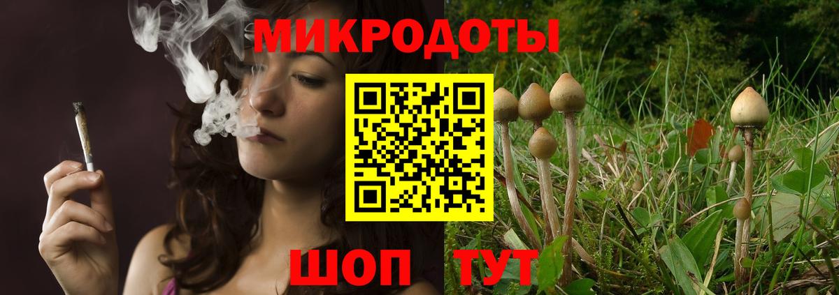 Коркино  Галлюциногенные грибы MAGIC MUSHROOMS  Псилоцибиновые грибы Psilocybine cubensis  Вход с VPN 