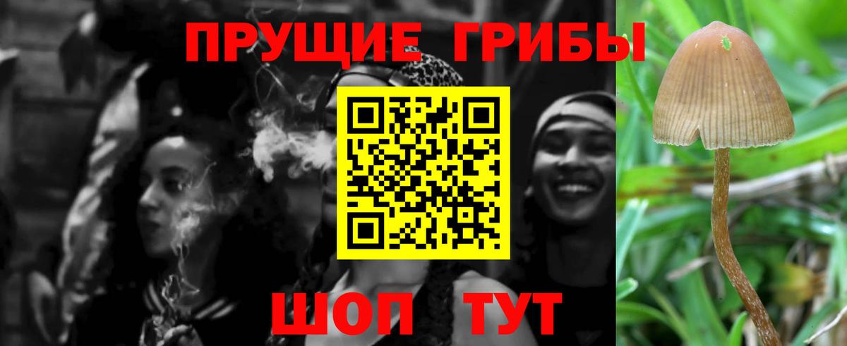 Псилоцибиновые грибы MAGIC MUSHROOMS Коркино